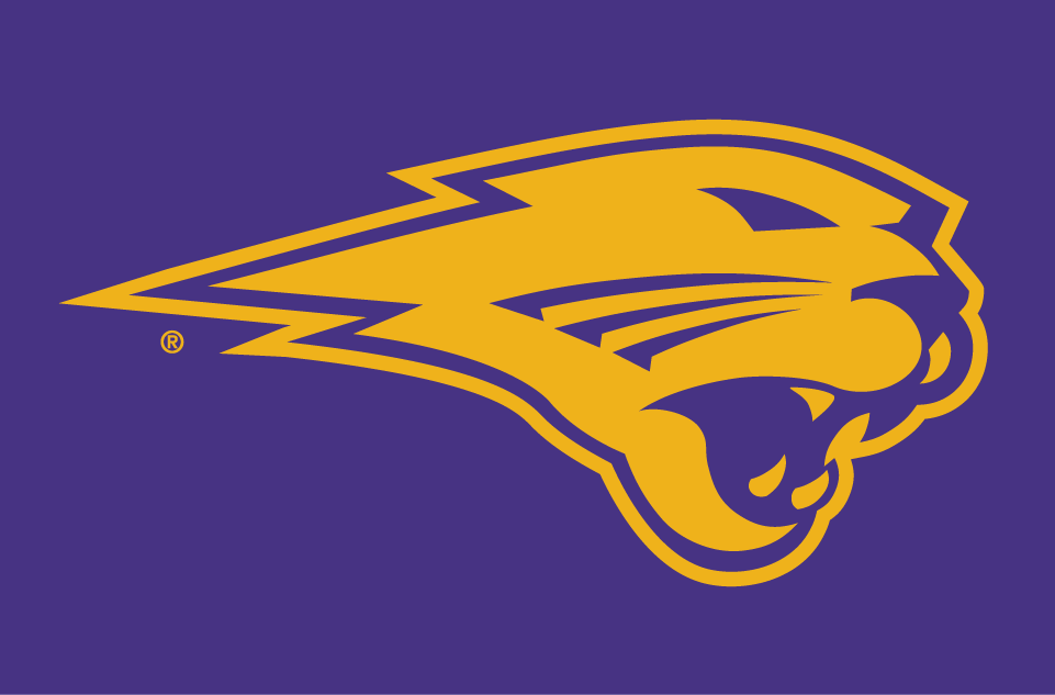 Northern Iowa Panthers 2002-Pres Partial Logo v3 diy iron on heat transfer